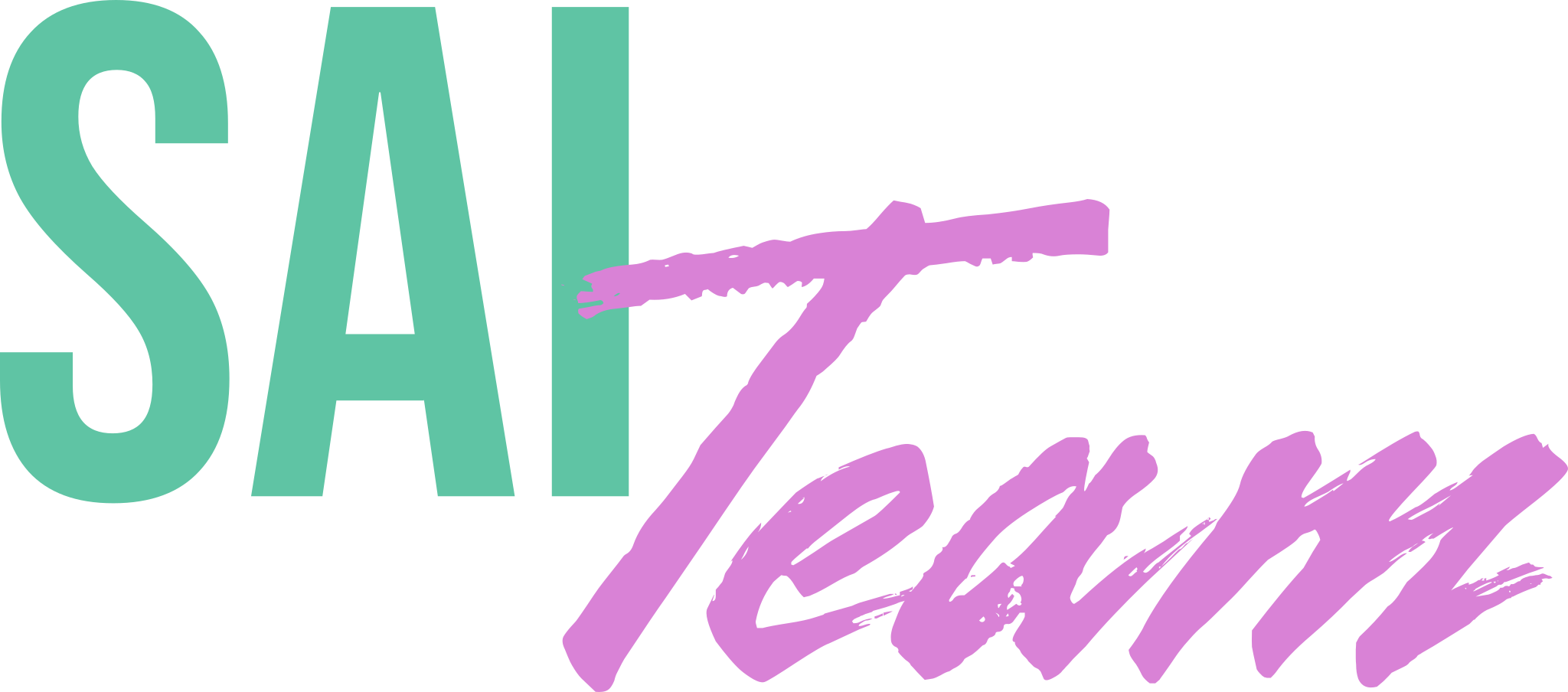 SAI Team
